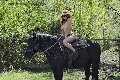 Foto Annuncio Escort Chiavari Karyna - 29