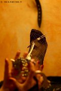 Foto Annuncio Mistress Marina Di Carrara Lady De Sade Italy - 6