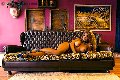 Foto Annuncio Trans Brescia Jessica Aryani - 23