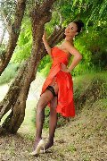 Foto Annuncio Trans Fortaleza Keylla Marques Pornostar Xxl - 62