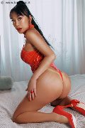 Foto Annuncio Transescort Faenza Vanessa Midori - 1
