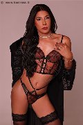 Foto Annuncio Trav Firenze Sophia Brasiliana Xxl - 5