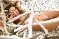 Foto Hot Annuncio Trans Villa Rosa Giselly Bella - 9