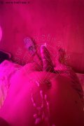 Bologna Trans Lara Melo 389 43 41 787 foto selfie 20