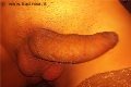 Napoli Trans Vittoria Mazza 334 77 63 969 foto selfie 17