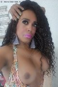 Mestre Trans Escort Paolina Mulatta 333 29 10 933 foto selfie 11