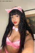 Novara Trans Escort Miele 331 78 08 280 foto selfie 56