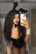 Novara Trans Escort Miele 331 78 08 280 foto selfie 34