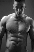 Foto Annuncio Boys Treviso Bryan Santos Xxl - 3