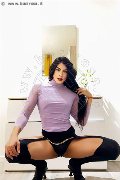 Foto Annuncio Trav Milano Elisa - 36