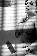 Foto Hot Annuncio Transescort Genova Dior - 140