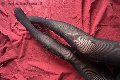Venezia Escort Tiny Mouse 328 46 90 312 foto selfie 26