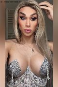Alessandria Trans Eduarda Vogue 347 84 47 704 foto selfie 7