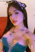 Palermo Trans Winnie 350 96 54 601 foto selfie 13