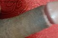 Prato Trans Tain� Oliveira 328 53 82 487 foto selfie 171
