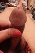 Roma Trans Escort Ladyboy Carlina 329 76 93 880 foto selfie 41
